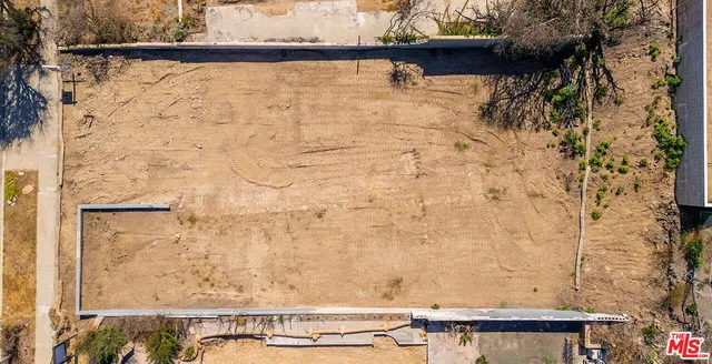 a view of a yard with a tree