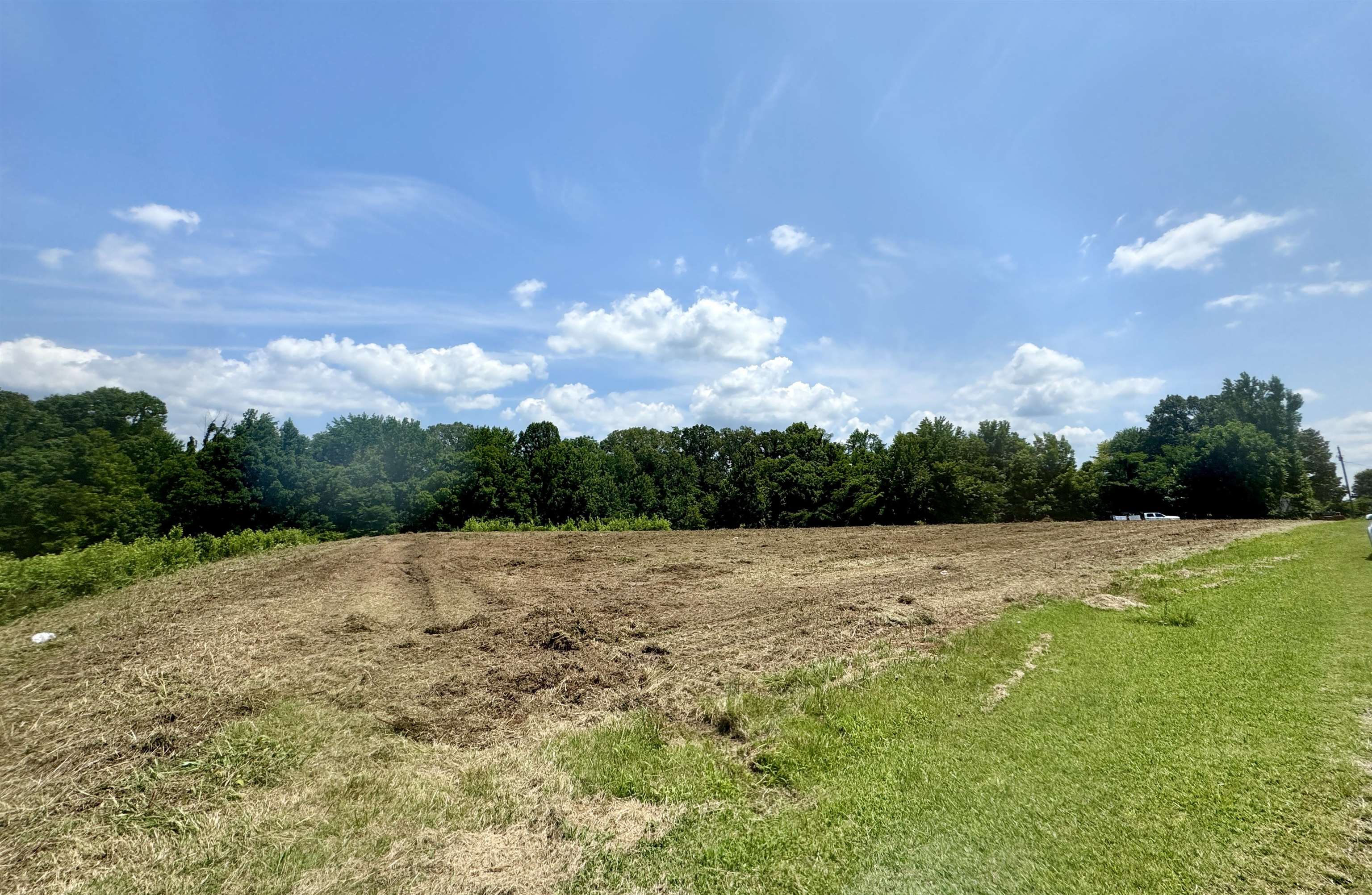 6.5 Rutherford Or Rucker Farm Road Halls, TN 38040 - Photo 11 of 14 View of nature featuring a rural view
