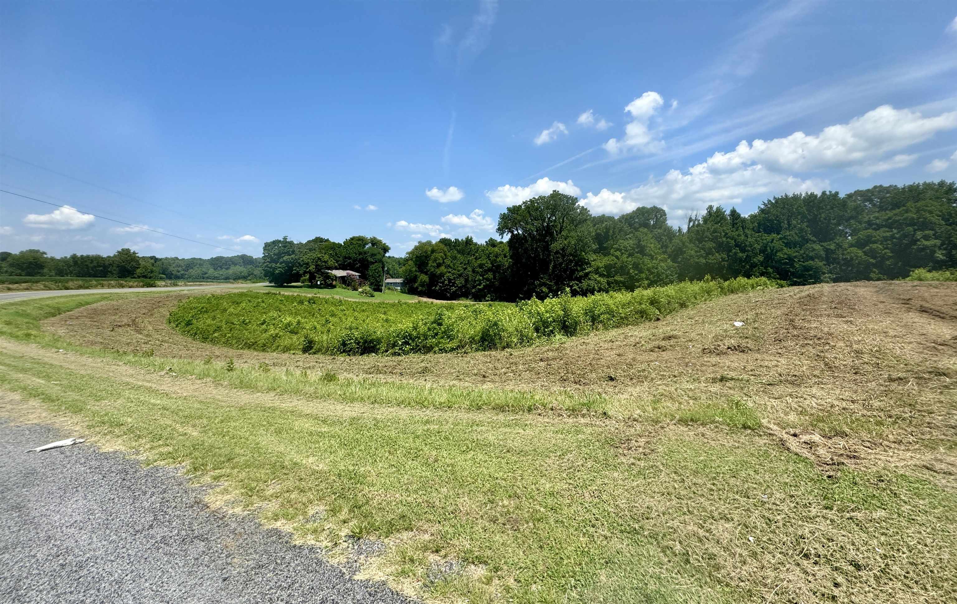6.5 Rutherford Or Rucker Farm Road Halls, TN 38040 - Photo 12 of 14 View of nature
