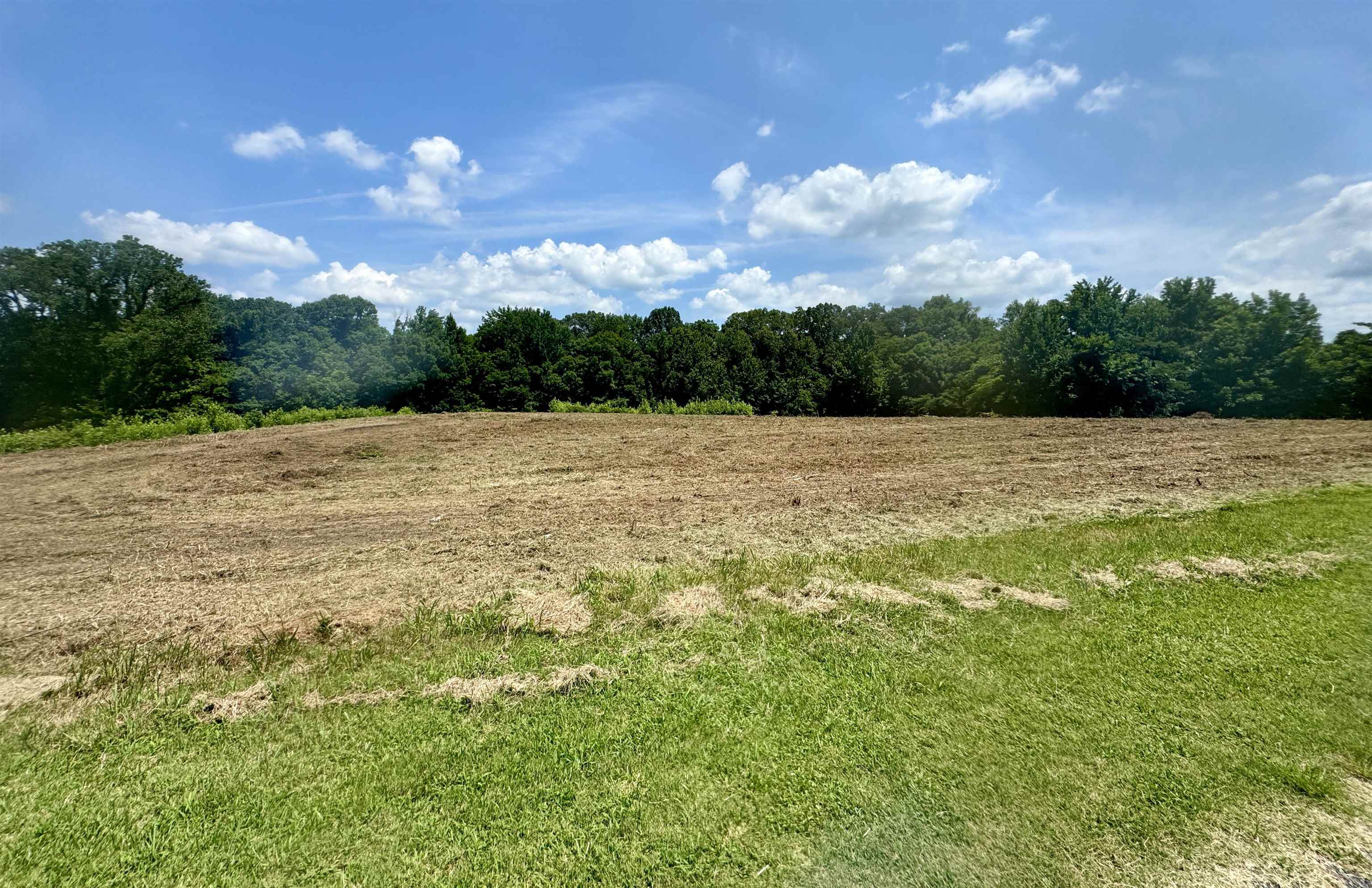 6.5 Rutherford Or Rucker Farm Road Halls, TN 38040 - Photo 13 of 14 View of local wilderness with a rural view