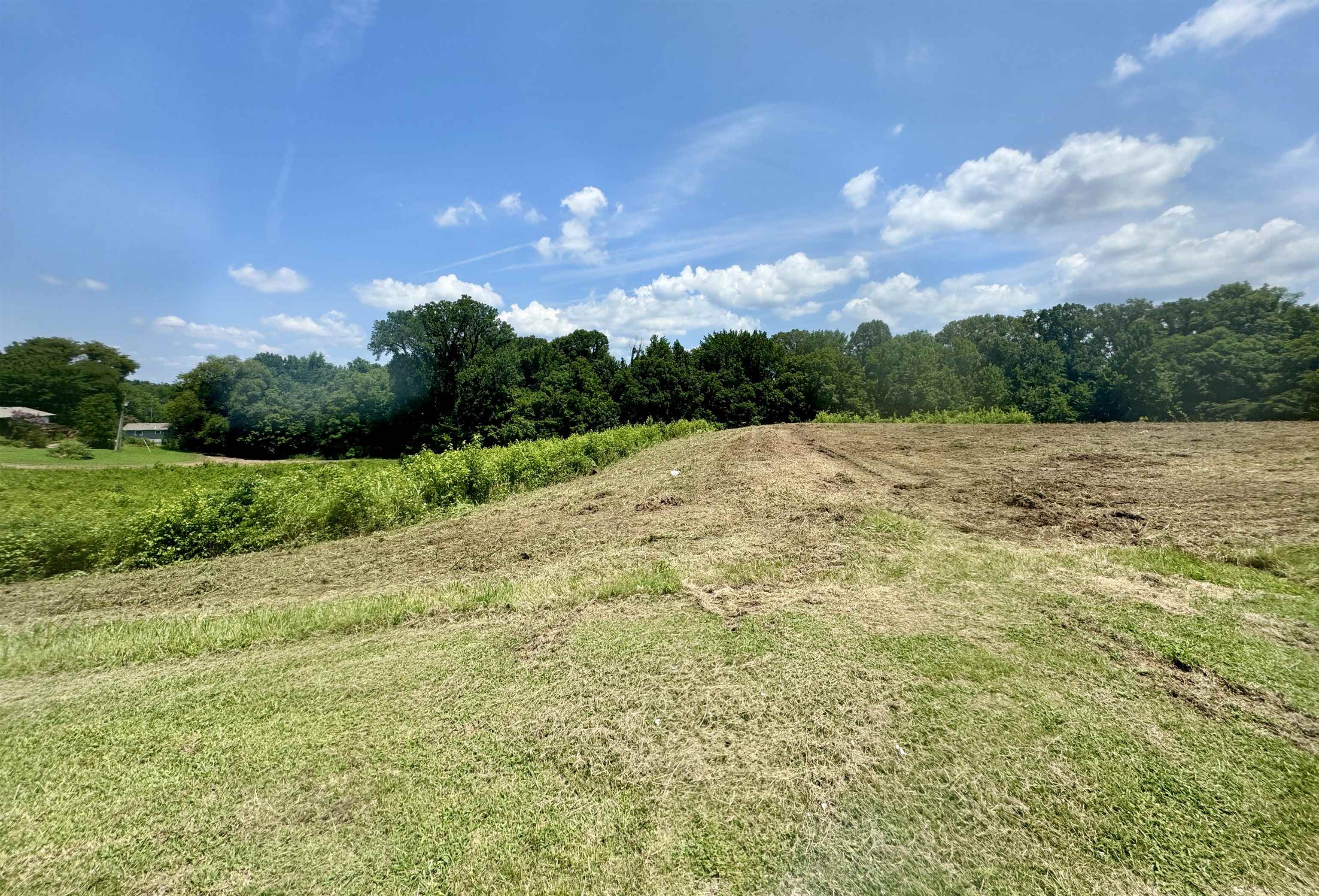 6.5 Rutherford Or Rucker Farm Road Halls, TN 38040 - Photo 14 of 14 View of nature featuring a rural view
