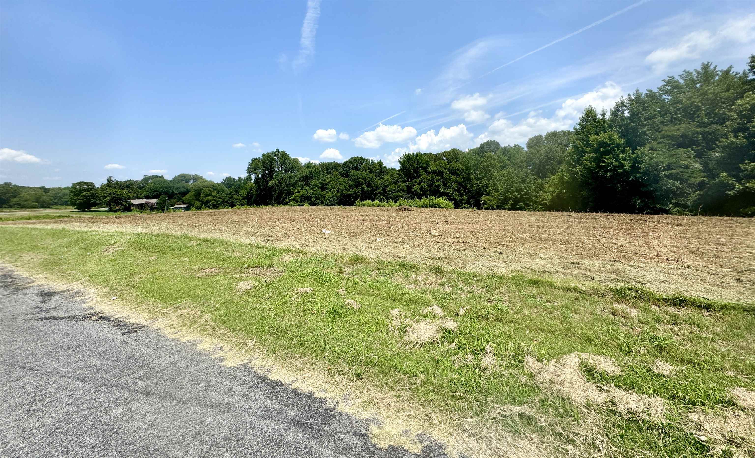 6.5 Rutherford Or Rucker Farm Road Halls, TN 38040 - Photo 9 of 14 View of street featuring a rural view