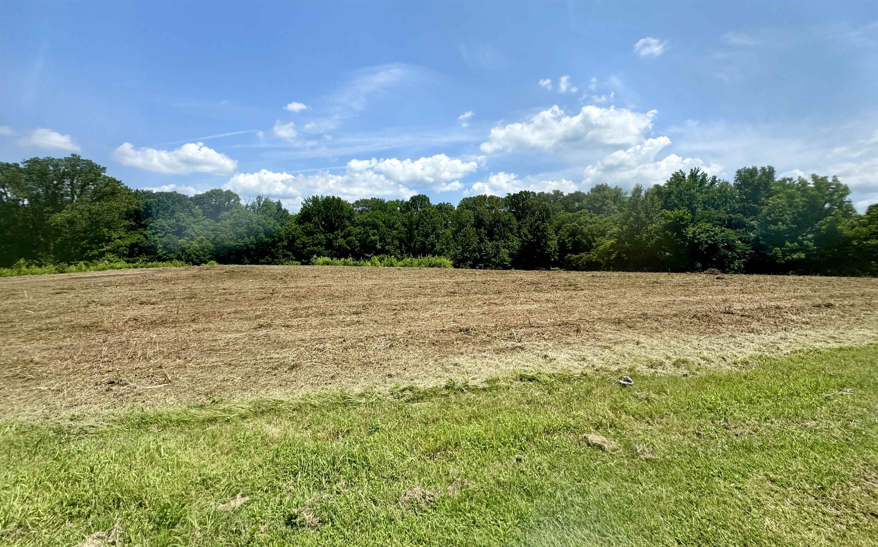 6.5 Rutherford Or Rucker Farm Road Halls, TN 38040 - Photo 10 of 14 View of nature