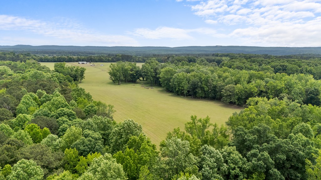 186 Beech Springs Road Pine Mountain, GA 31822 - Photo 16 of 59