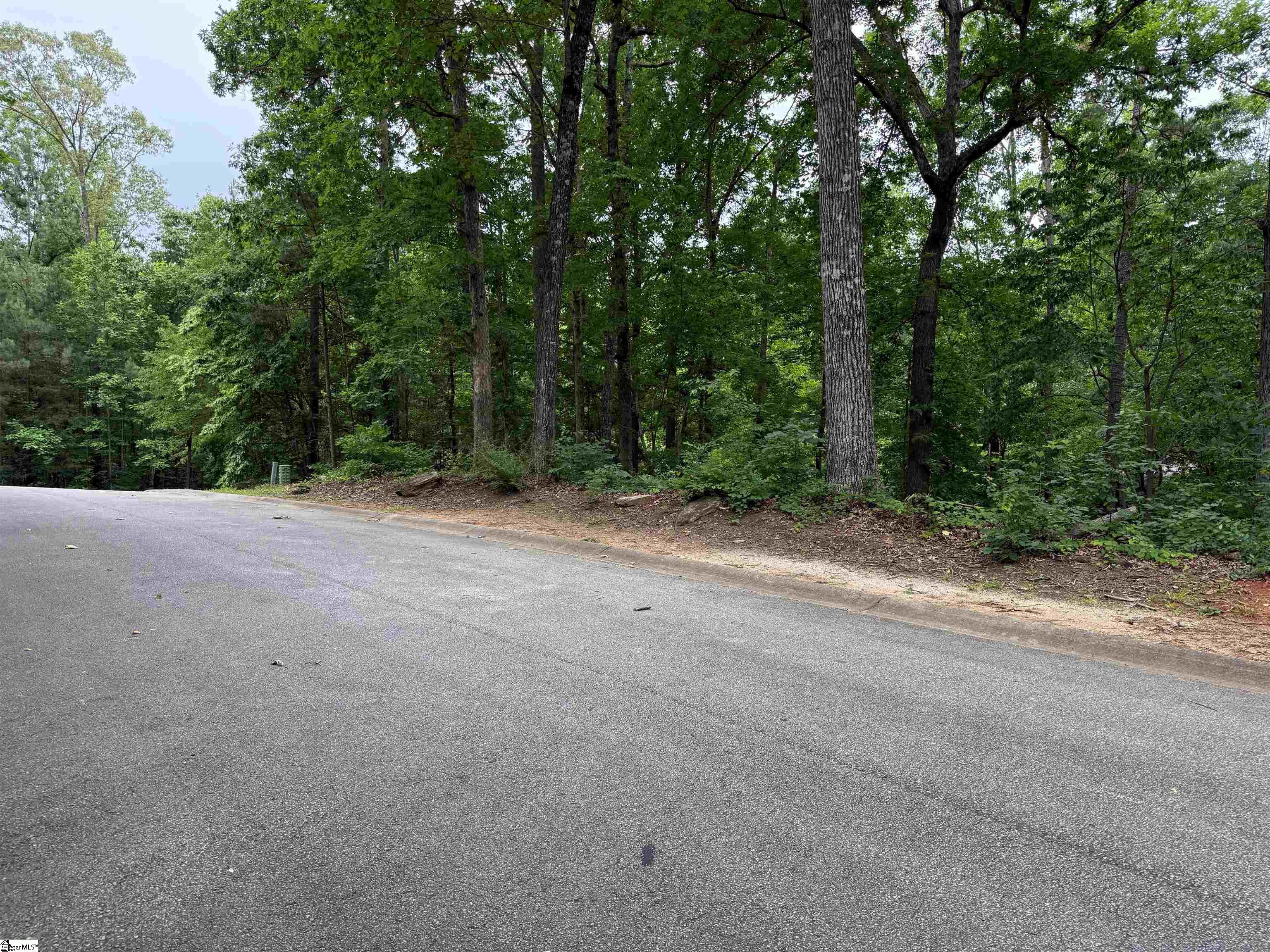9 Nautica Point Six Mile, SC 29682 - Photo 10 of 19