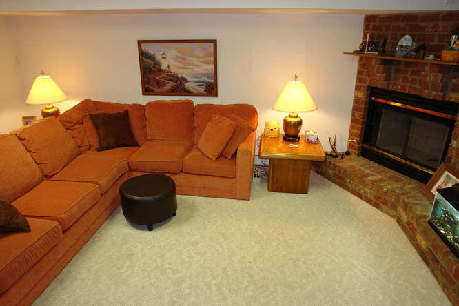 1411 Brighton Road Southwest Roanoke, VA 24015 - Photo 15 of 31 Lower Level Family Room