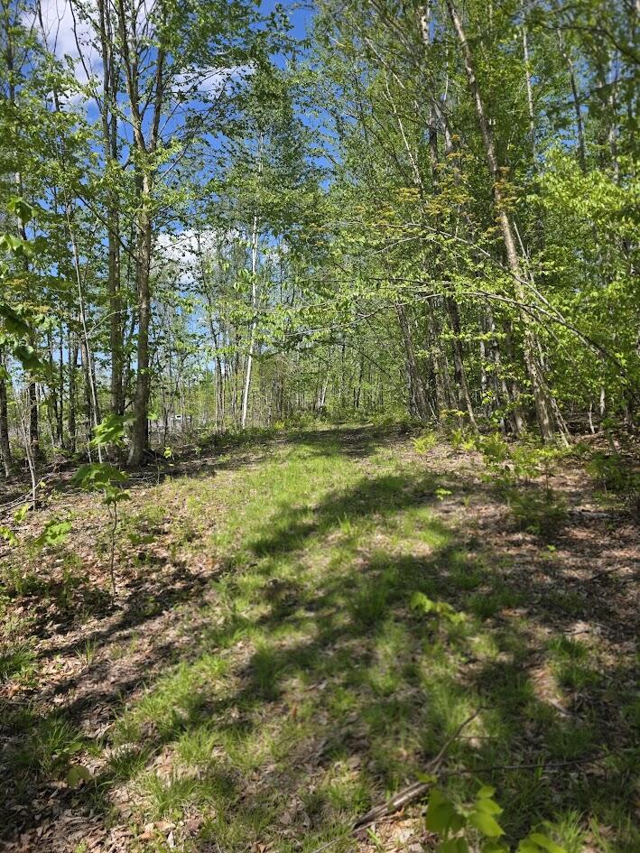 Lot 6 South Treadwell Hill Road Springfield, ME 04487 - Photo 2 of 14 20260526_134407