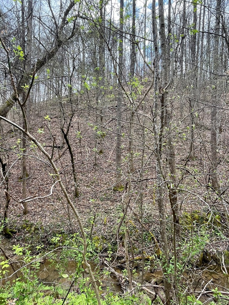 4 Rule Way Sevierville, TN 37876 - Photo 5 of 13 Gallery Image 5