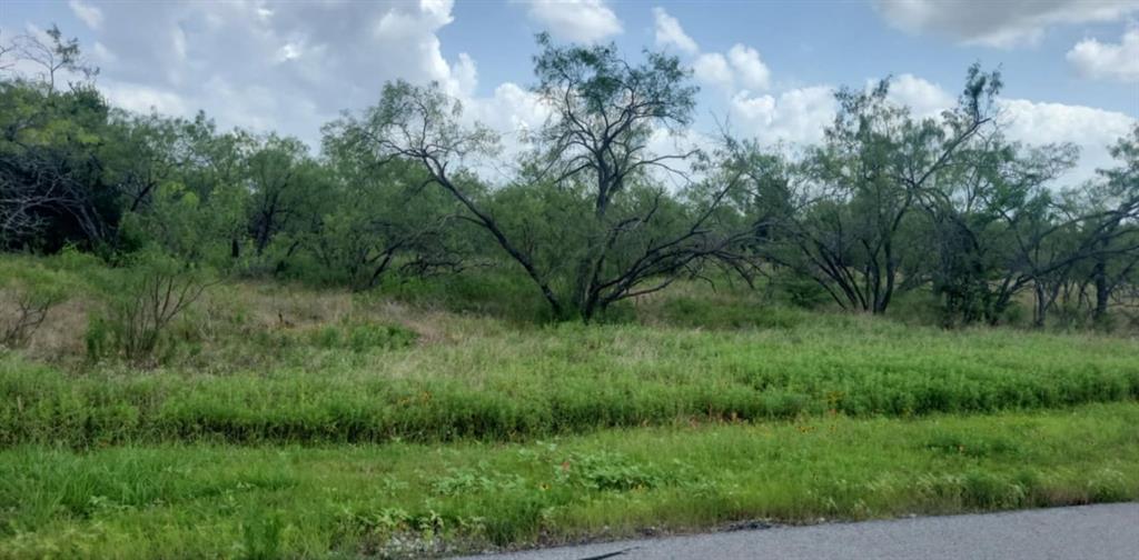 Lot 118 Palmito Rnch Road Corsicana, TX 75110 - Photo 5 of 7 View of nature