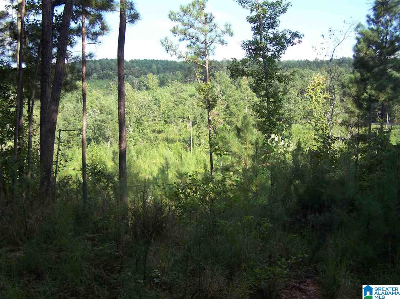 0 Jackson Trail, Unit 140 ACRES Altoona, AL 35952 - Photo 41 of 50