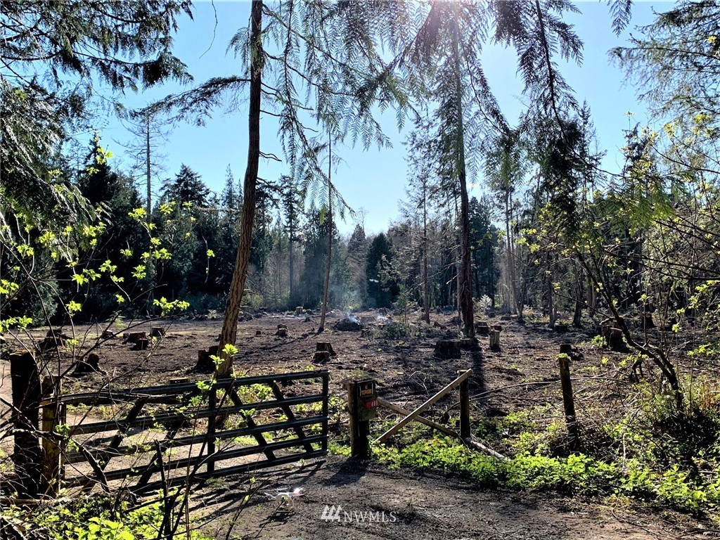 488 South Jacob Miller Road Port Townsend, WA 98368 - Photo 2 of 9 Gallery Image 2