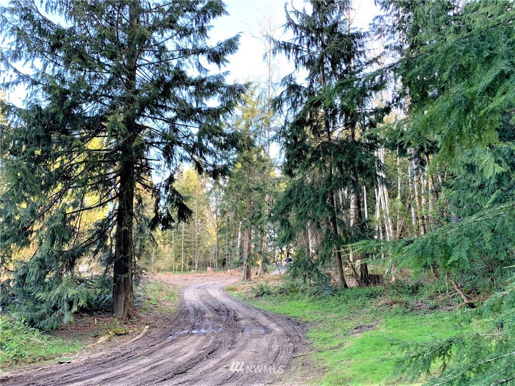 488 South Jacob Miller Road Port Townsend, WA 98368 - Photo 3 of 9 Gallery Image 3
