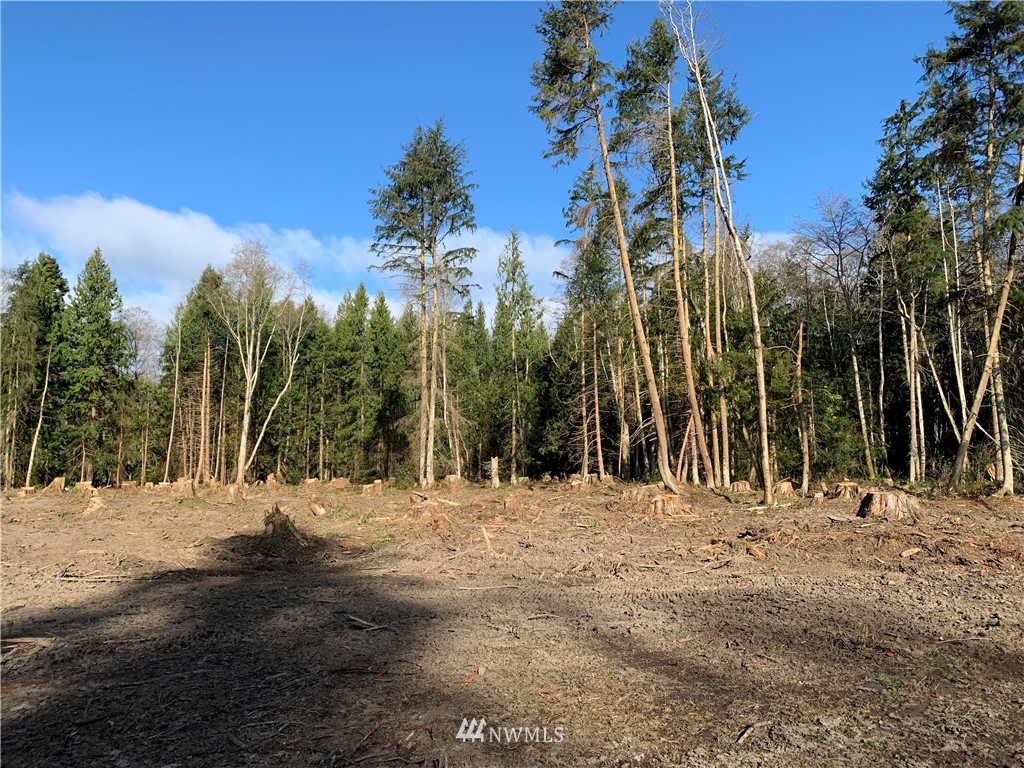 488 South Jacob Miller Road Port Townsend, WA 98368 - Photo 6 of 9 Gallery Image 6