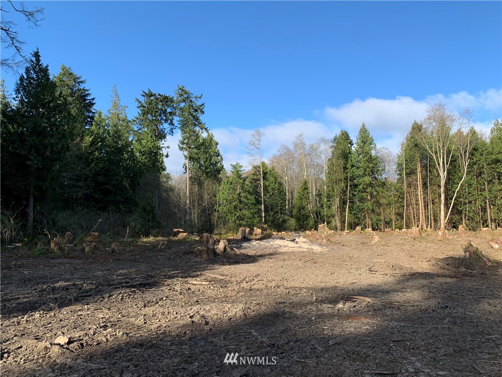 488 South Jacob Miller Road Port Townsend, WA 98368 - Photo 7 of 9 Gallery Image 7