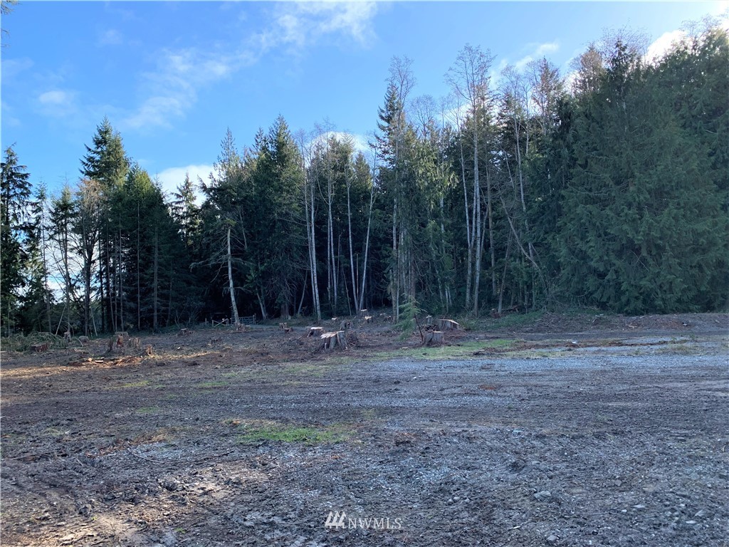488 South Jacob Miller Road Port Townsend, WA 98368 - Photo 8 of 9 Gallery Image 8