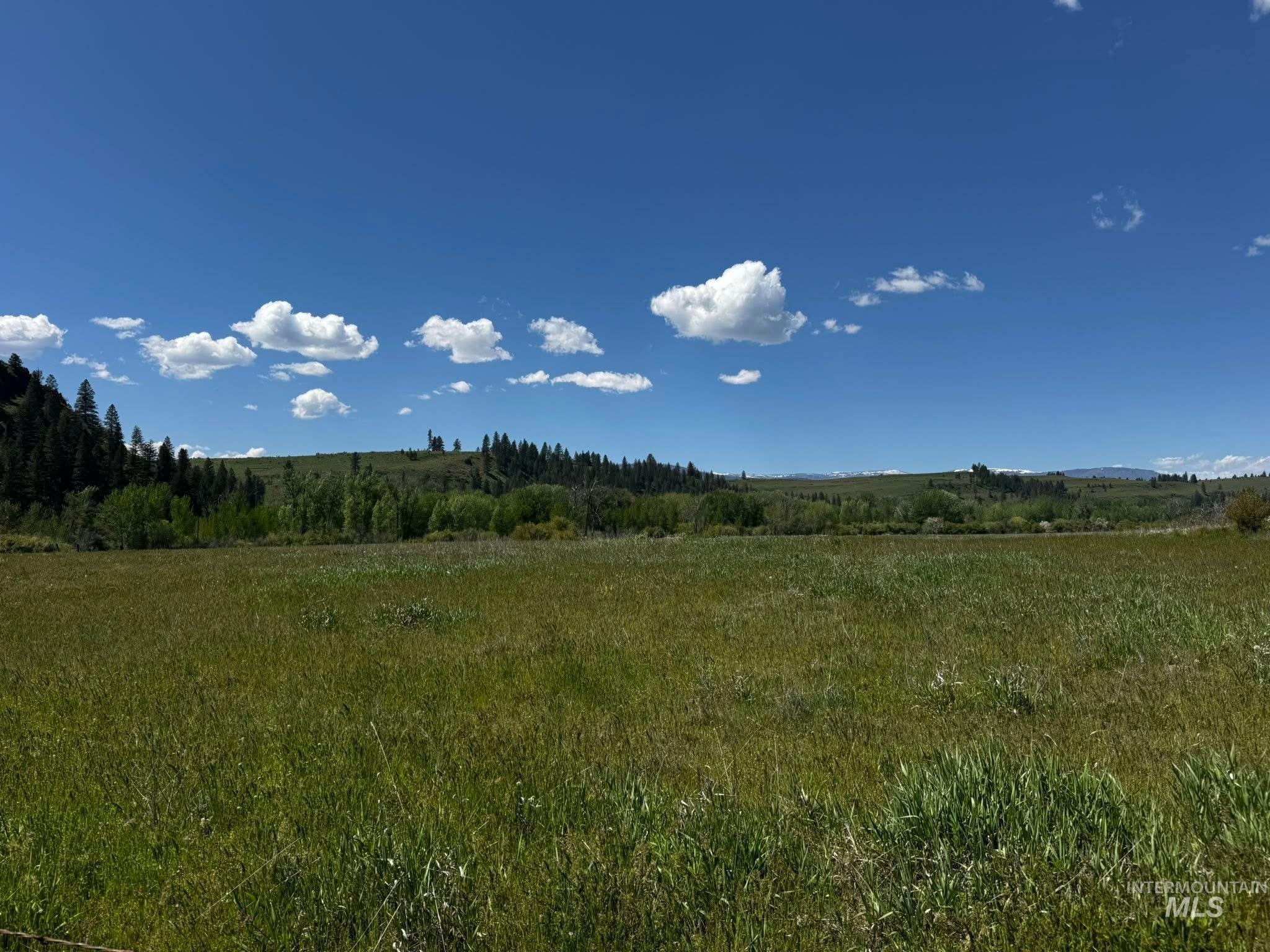 2286 Orchard Road Council, ID 83612 - Photo 24 of 44 Gallery Image 24