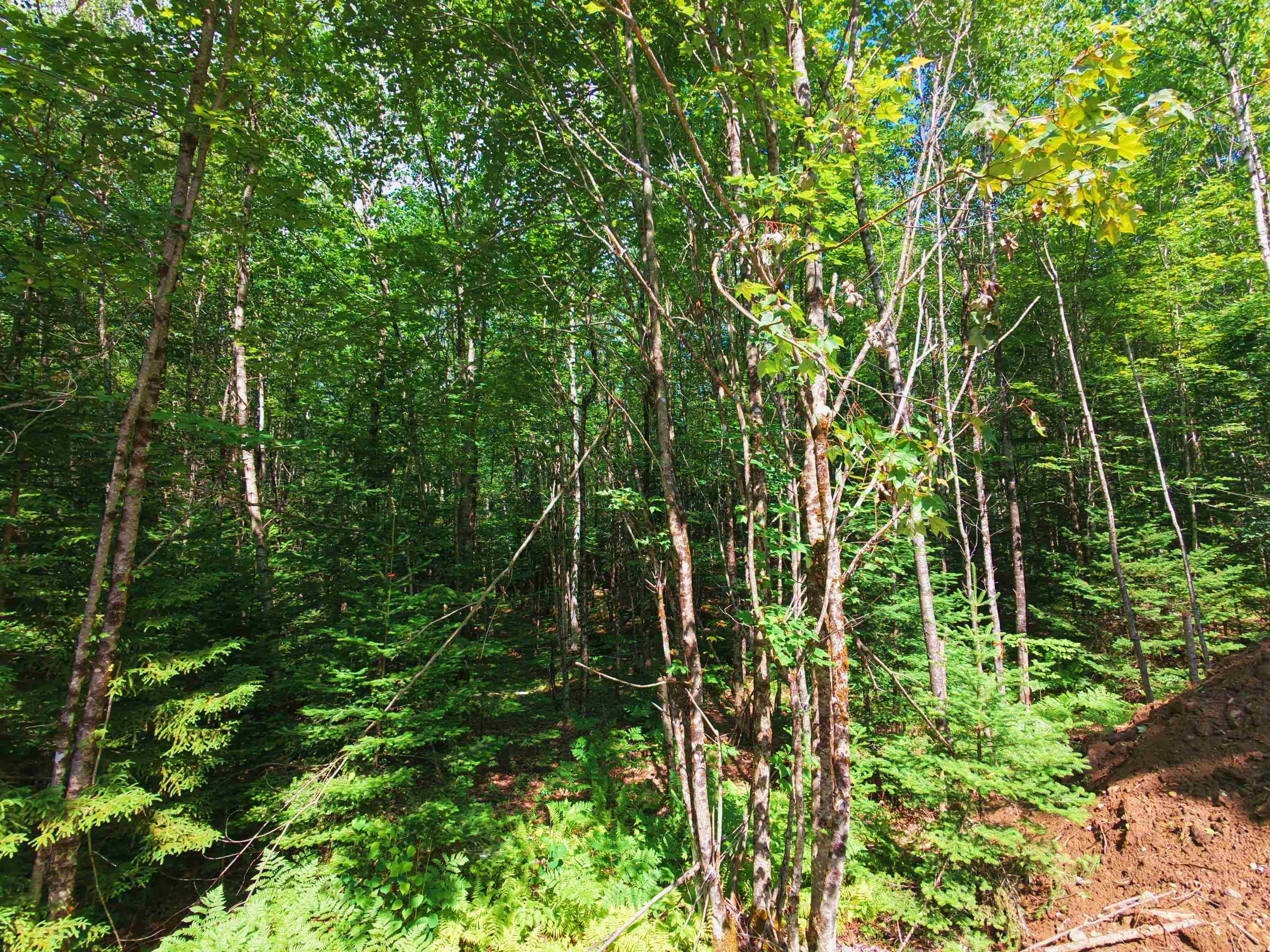 -- Oregon Road Concord, VT 05824 - Photo 5 of 27