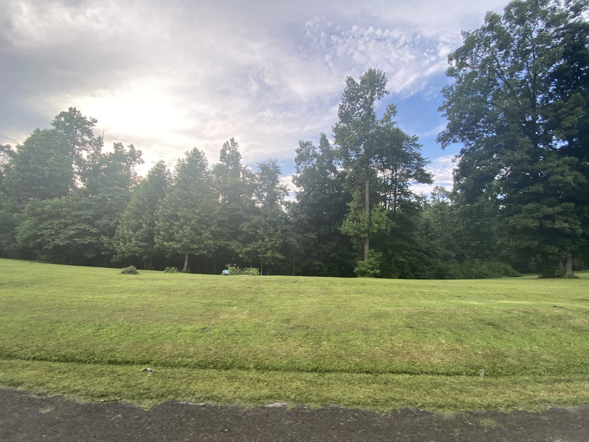 4605 Cole Ridge Road Beechgrove, TN 37018 - Photo 29 of 30 a view of a field with an trees in the background