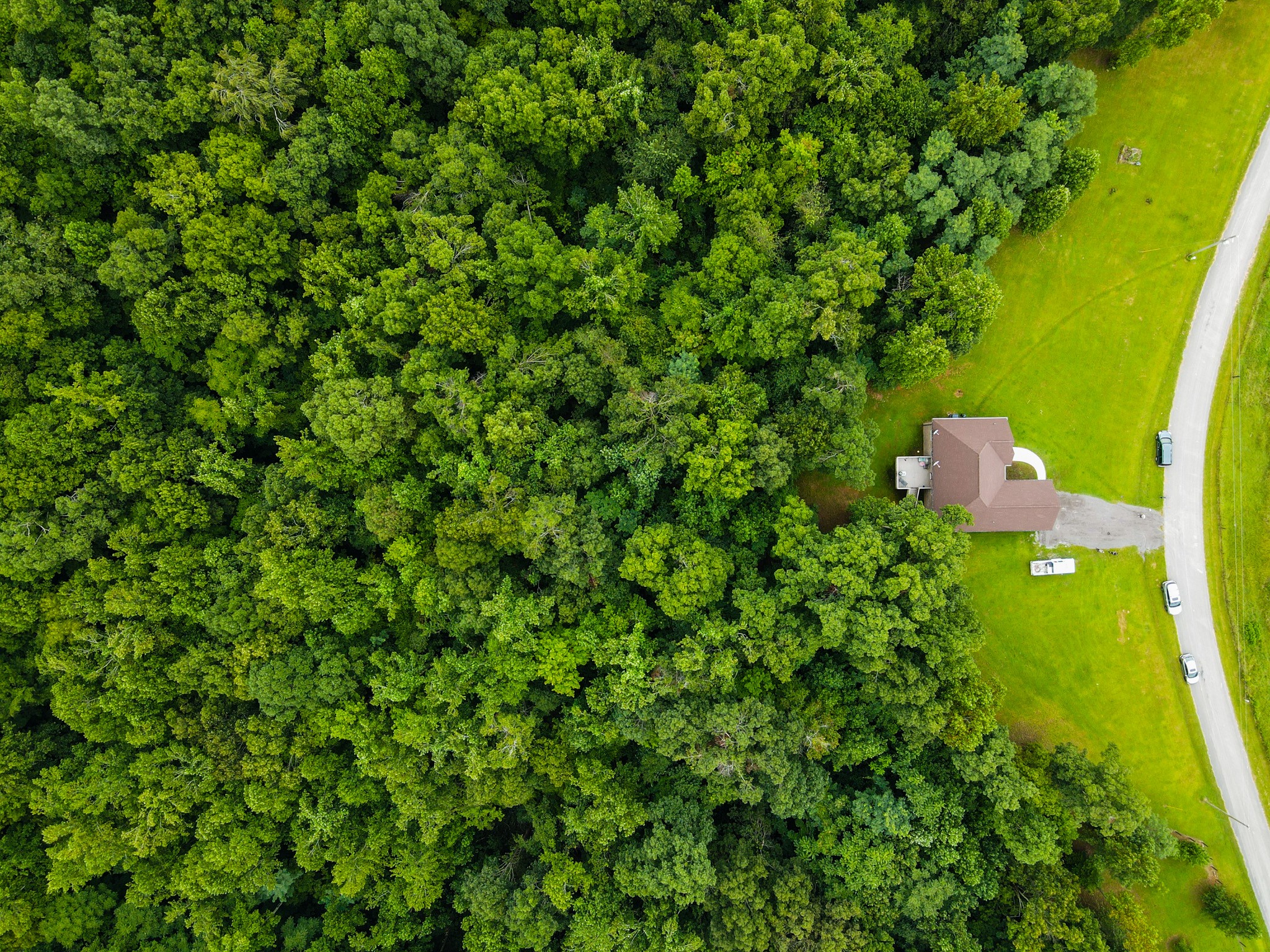 4605 Cole Ridge Road Beechgrove, TN 37018 - Photo 9 of 30 a backyard of a house with table and chairs