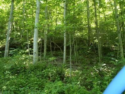 100 Edwards Road Stanton, KY 40380 - Photo 14 of 22 Photo 14