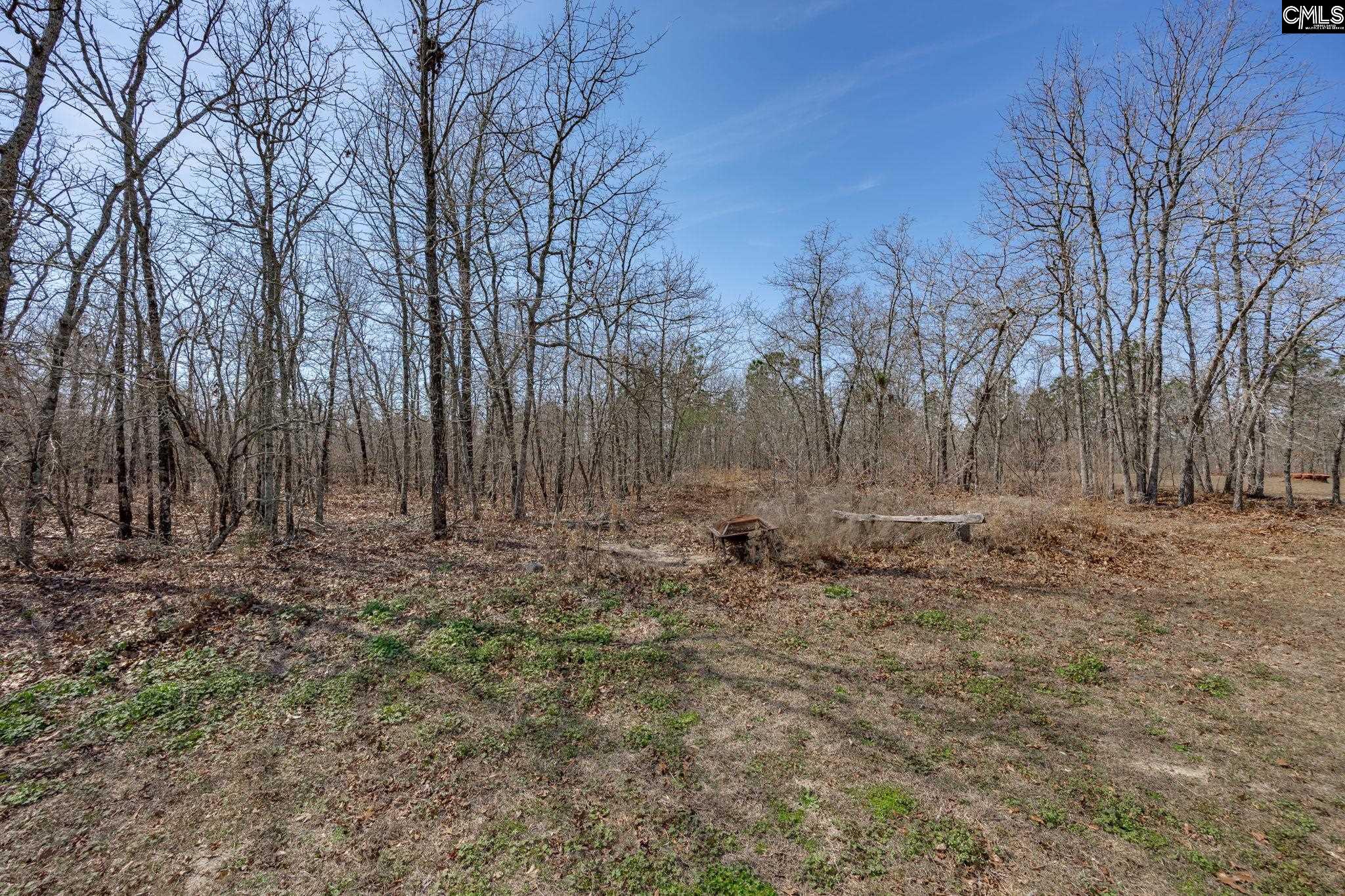 331 Freeman Drive Gaston, SC 29053 - Photo 35 of 37