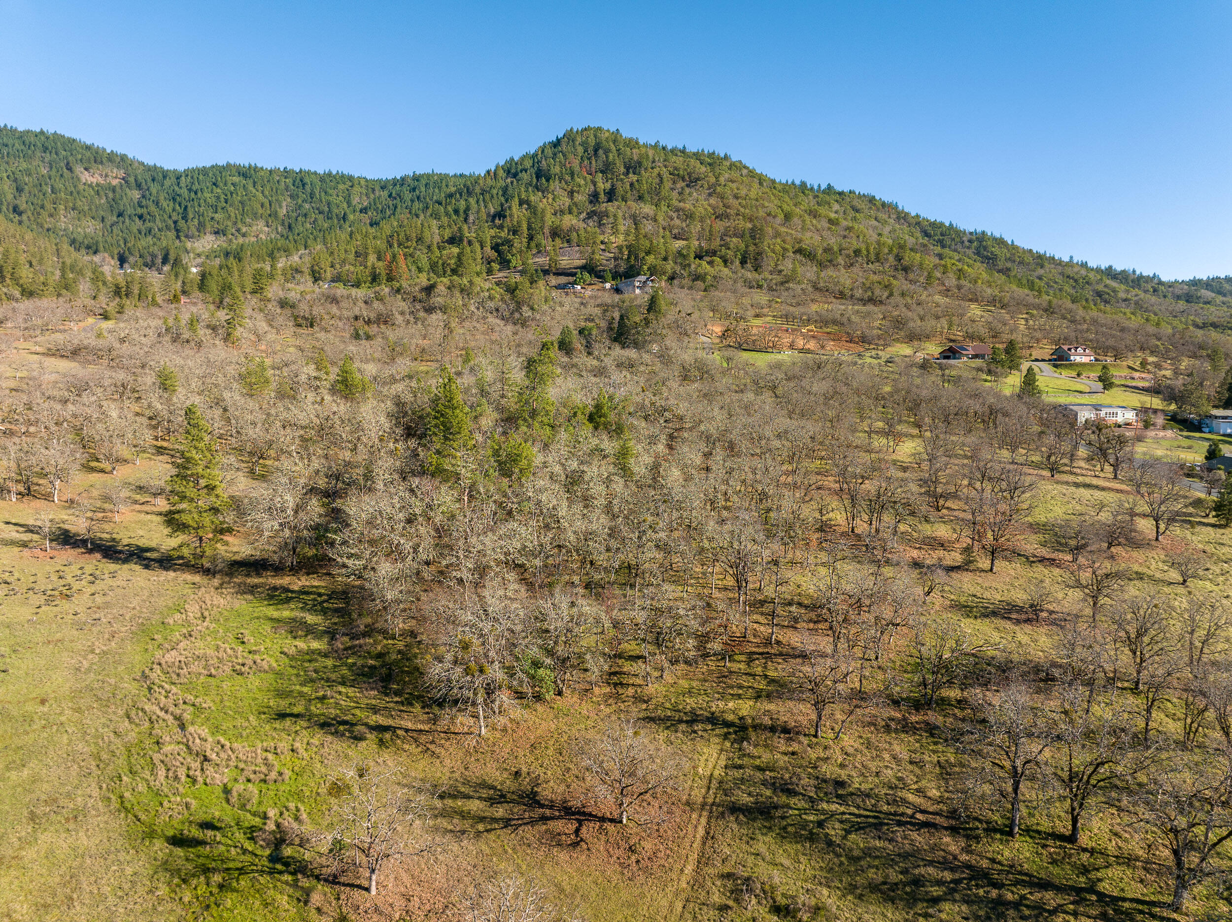 2487 Scoville Road Grants Pass, OR 97526 - Photo 43 of 46 42