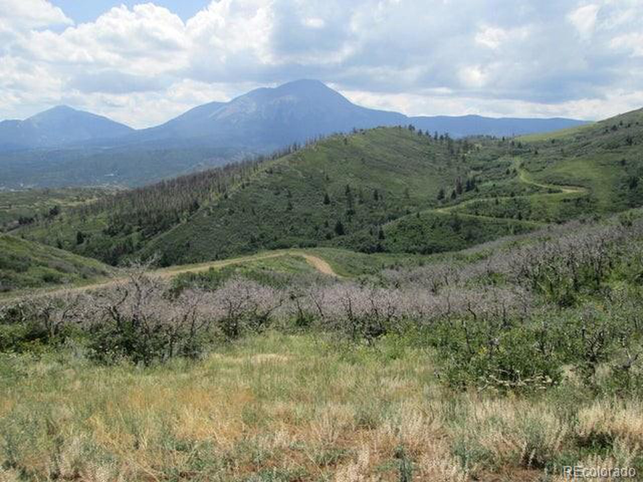 32 Raspberry Mountain Ranch La Veta, CO 81055 - Photo 1 of 13 a view of a lush green hillside and a houses