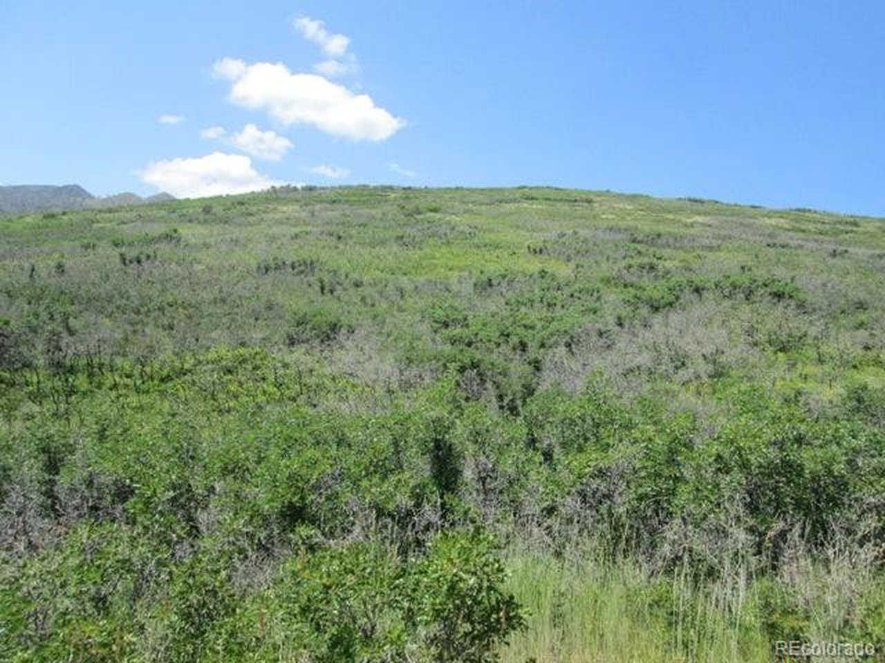32 Raspberry Mountain Ranch La Veta, CO 81055 - Photo 11 of 13 a view of an outdoor space and mountain view