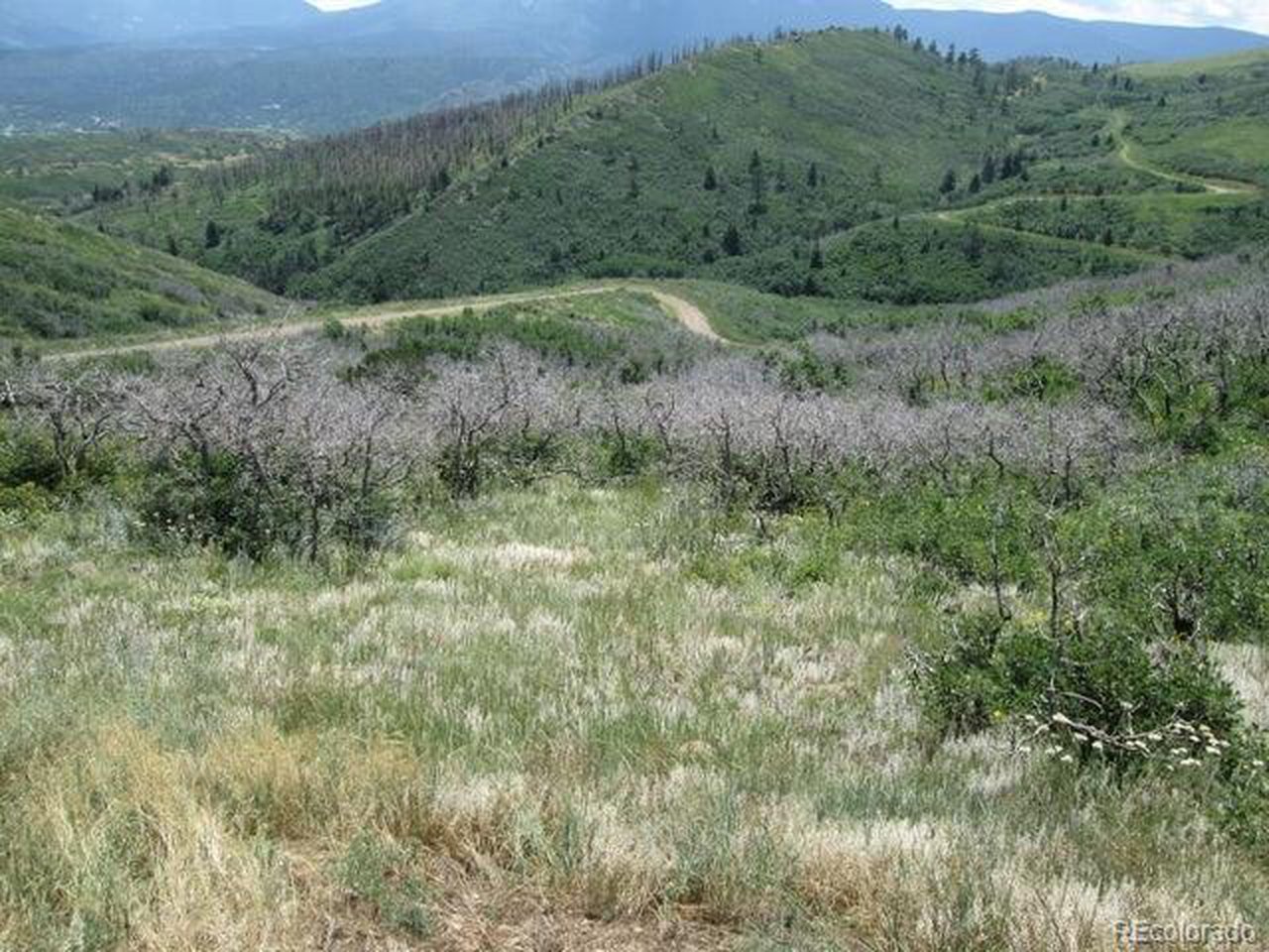 32 Raspberry Mountain Ranch La Veta, CO 81055 - Photo 3 of 13 a view of a field of grass and trees