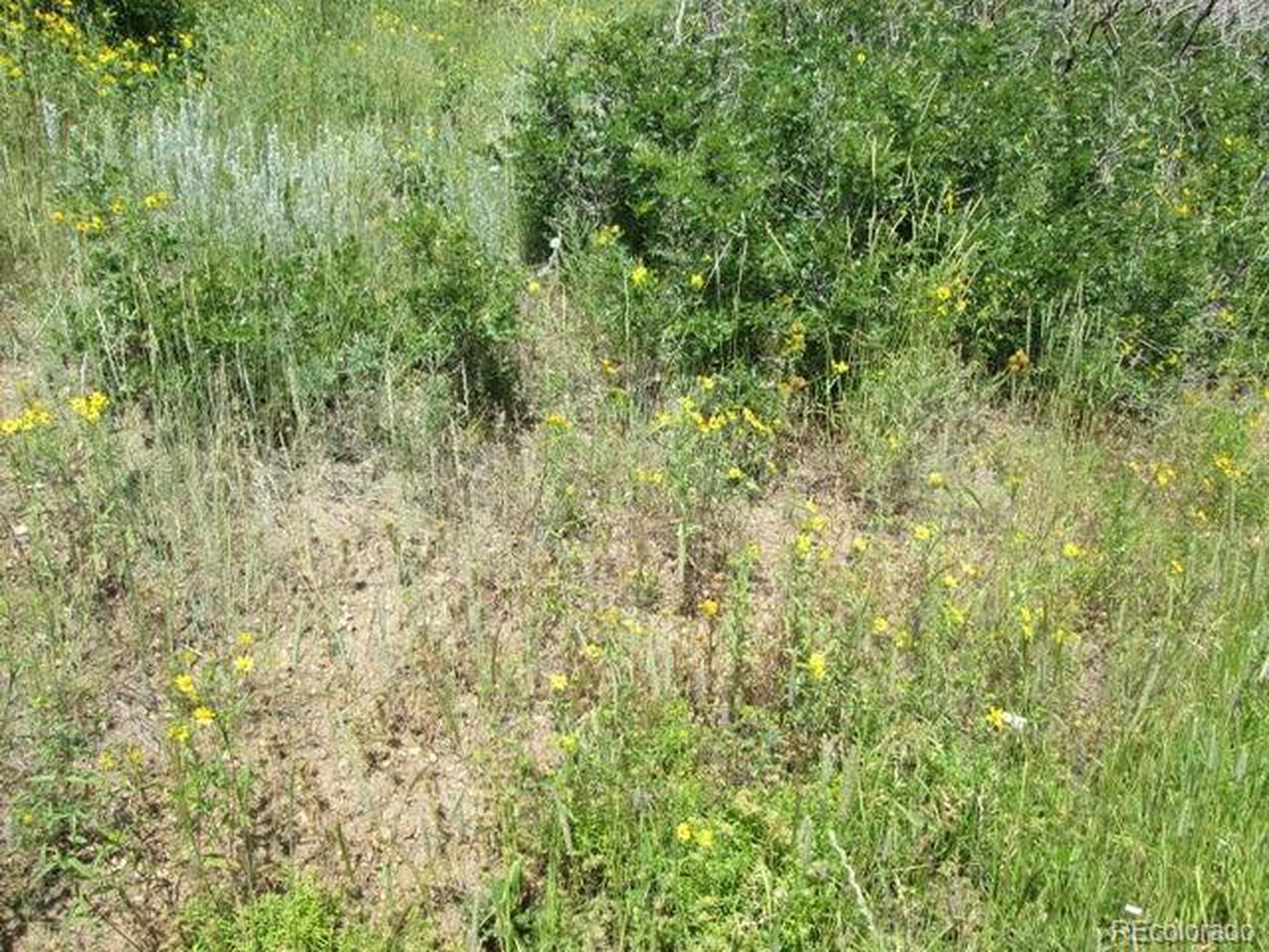 32 Raspberry Mountain Ranch La Veta, CO 81055 - Photo 4 of 13 a view of a lush green field