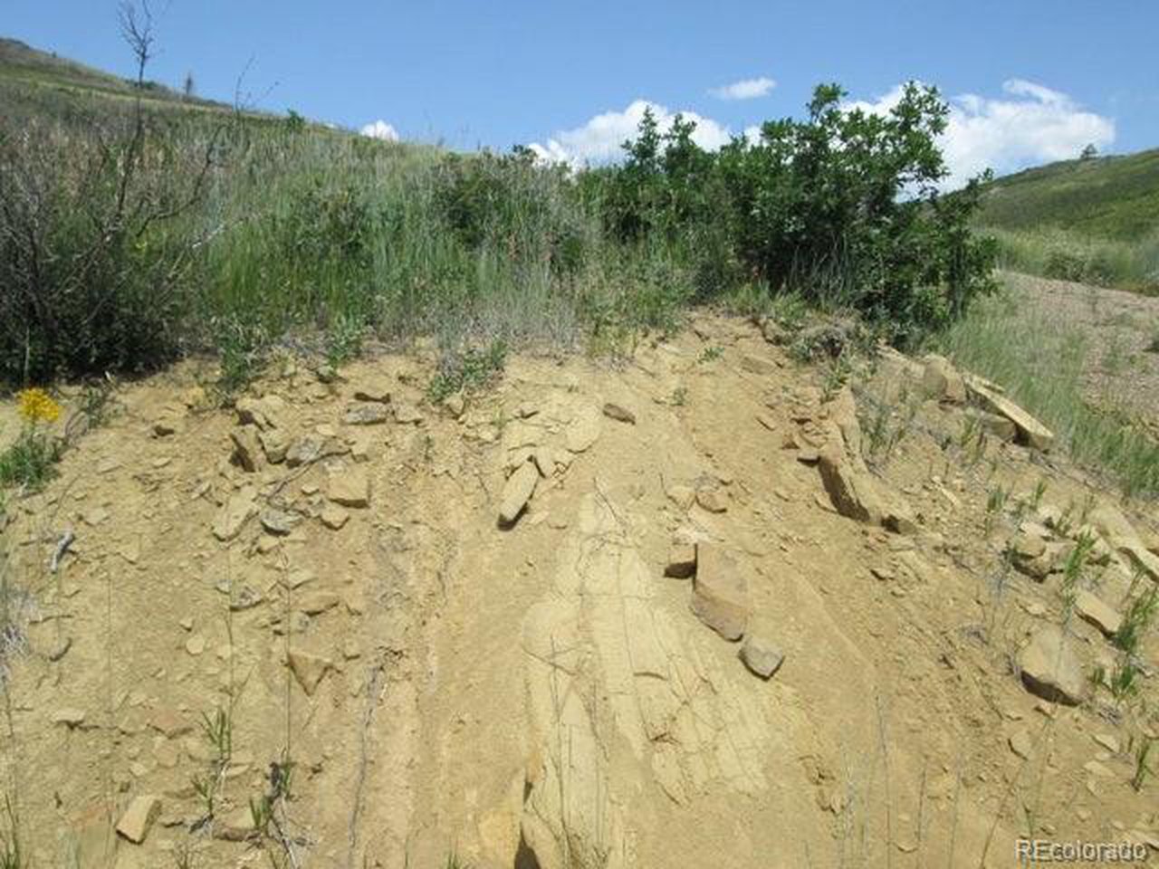 32 Raspberry Mountain Ranch La Veta, CO 81055 - Photo 5 of 13 a view of a pathway with a yard