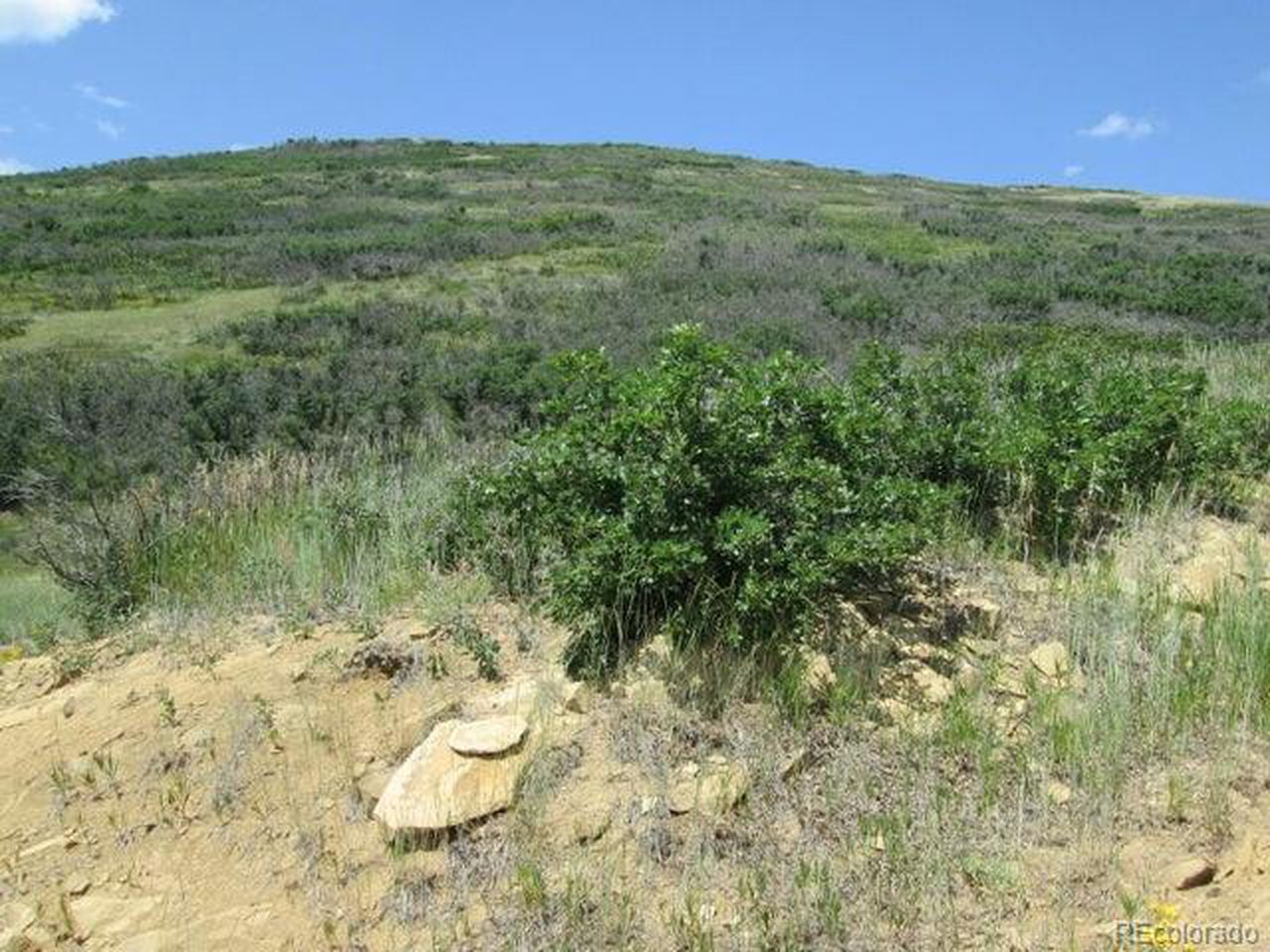32 Raspberry Mountain Ranch La Veta, CO 81055 - Photo 9 of 13 a view of a lush green outdoor space with a lake view