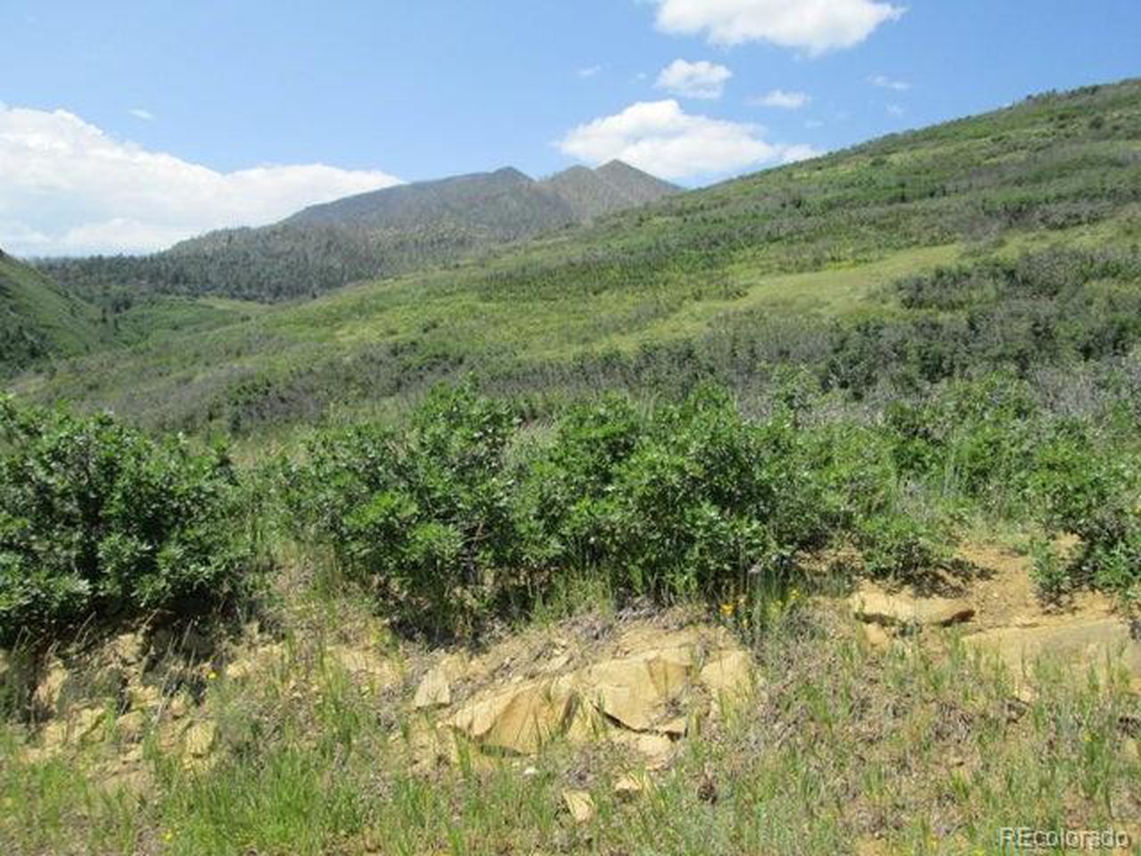 32 Raspberry Mountain Ranch La Veta, CO 81055 - Photo 10 of 13 a view of a lush green forest with mountains in the background