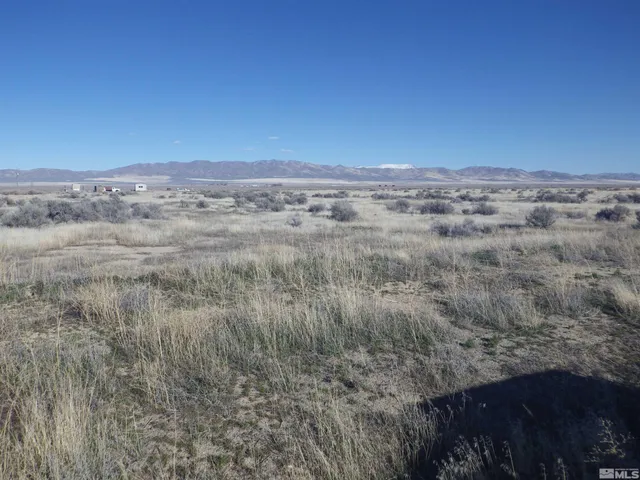 a view of a big yard with lots of bushes