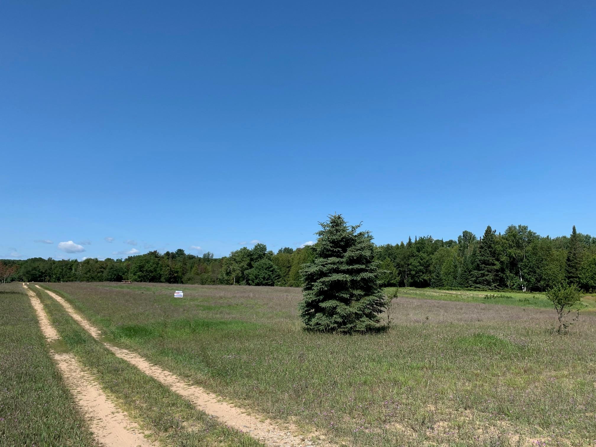 Goslow Road Gaylord, MI 49735 - Photo 11 of 31 Gallery Image 11