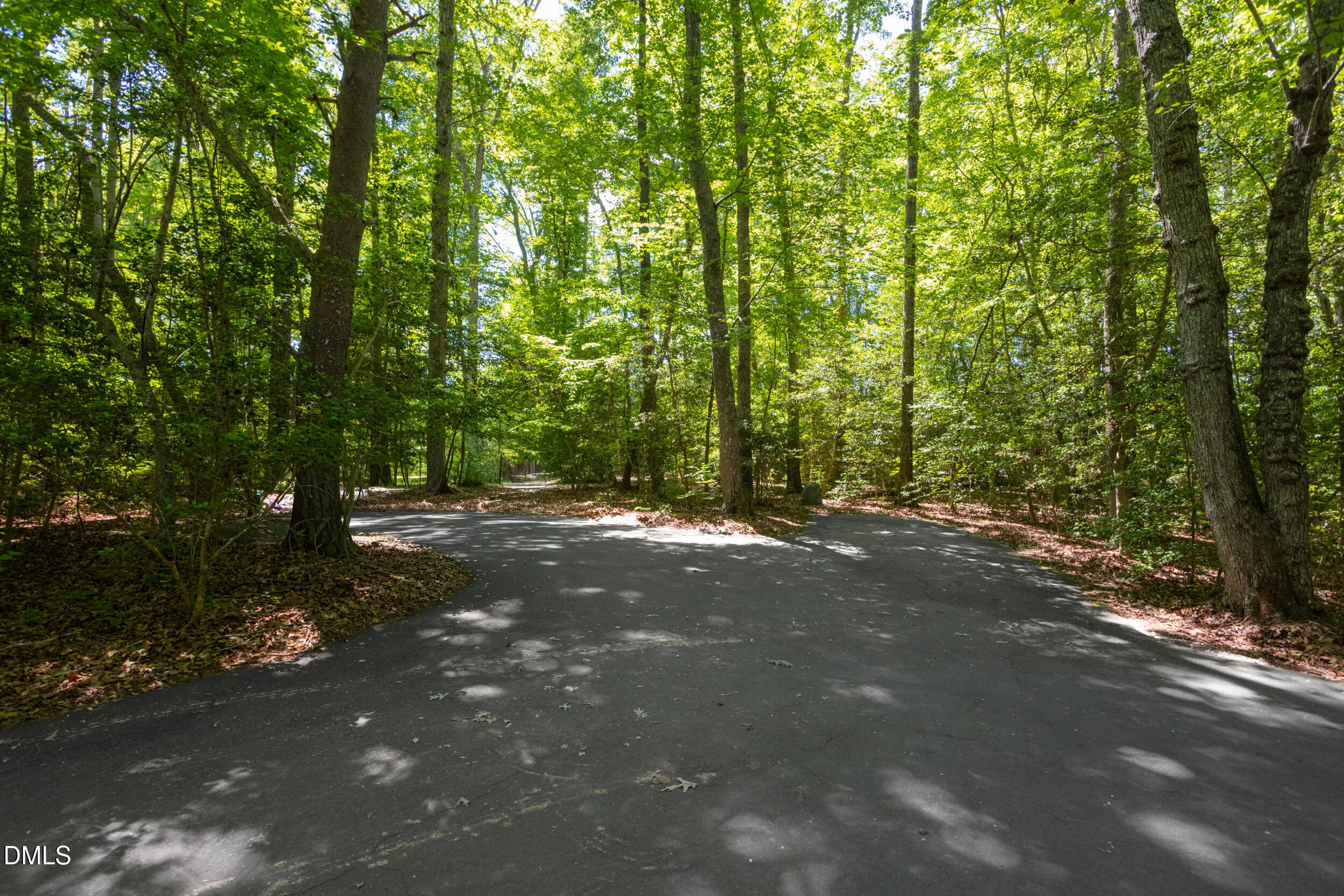 260 Bc Way Rougemont, NC 27572 - Photo 73 of 76 a view of a forest with trees