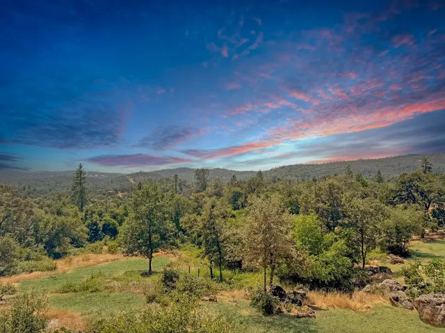 a view of a city with lush green forest