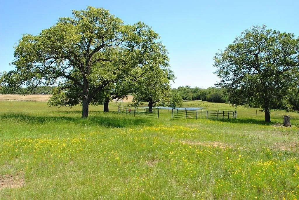 21741 East Interstate 10 Luling, TX 78648 - Photo 6 of 11 A verdant pasture with mature trees and a shimmering pond offers serene natural beauty.