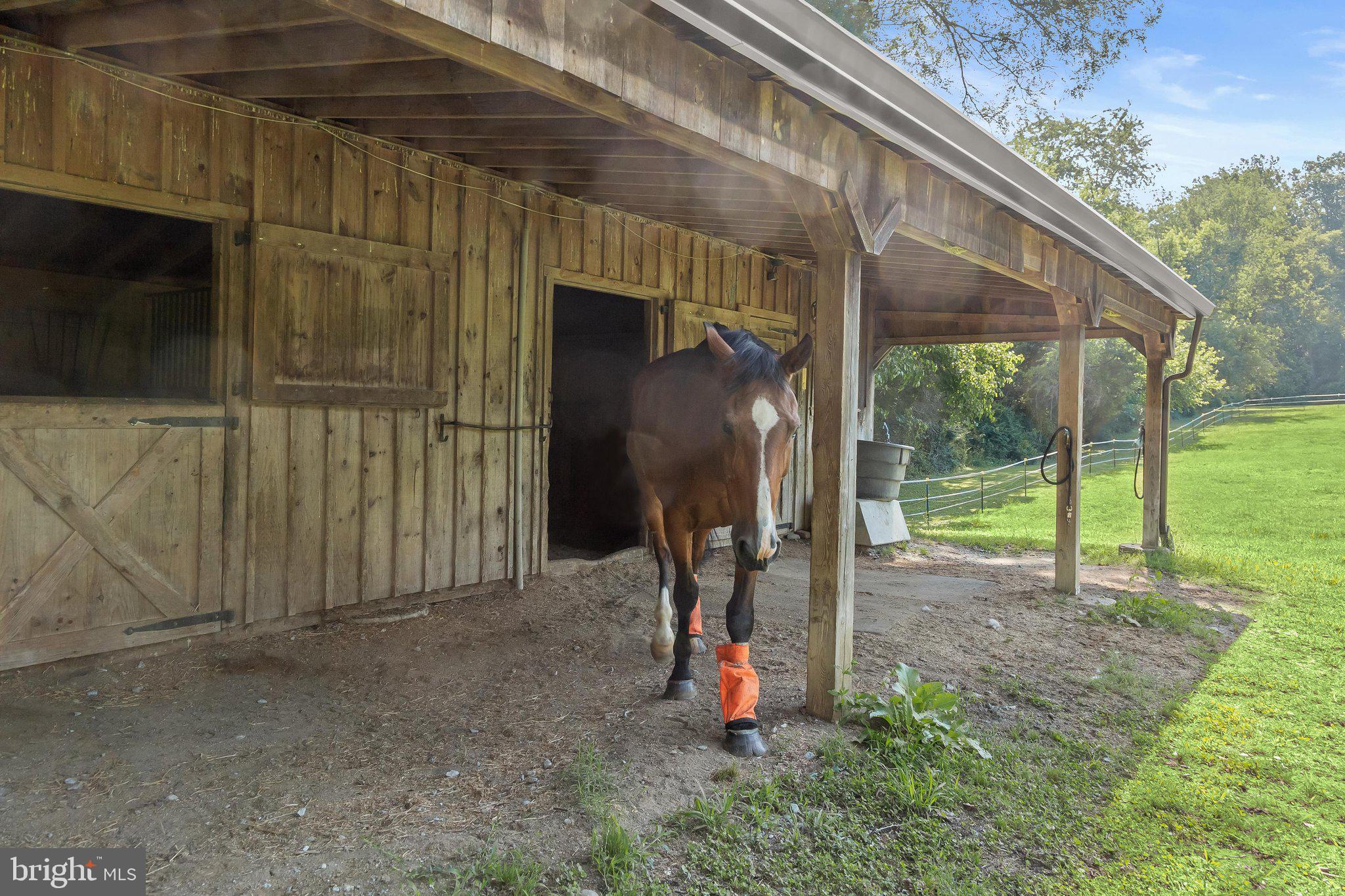16510 Batchellors Forest Road Olney, MD 20832 - Photo 67 of 107 Barn
