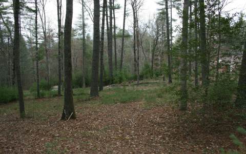 Hi River Road Hiawassee, GA 30546 - Photo 1 of 1 Main View