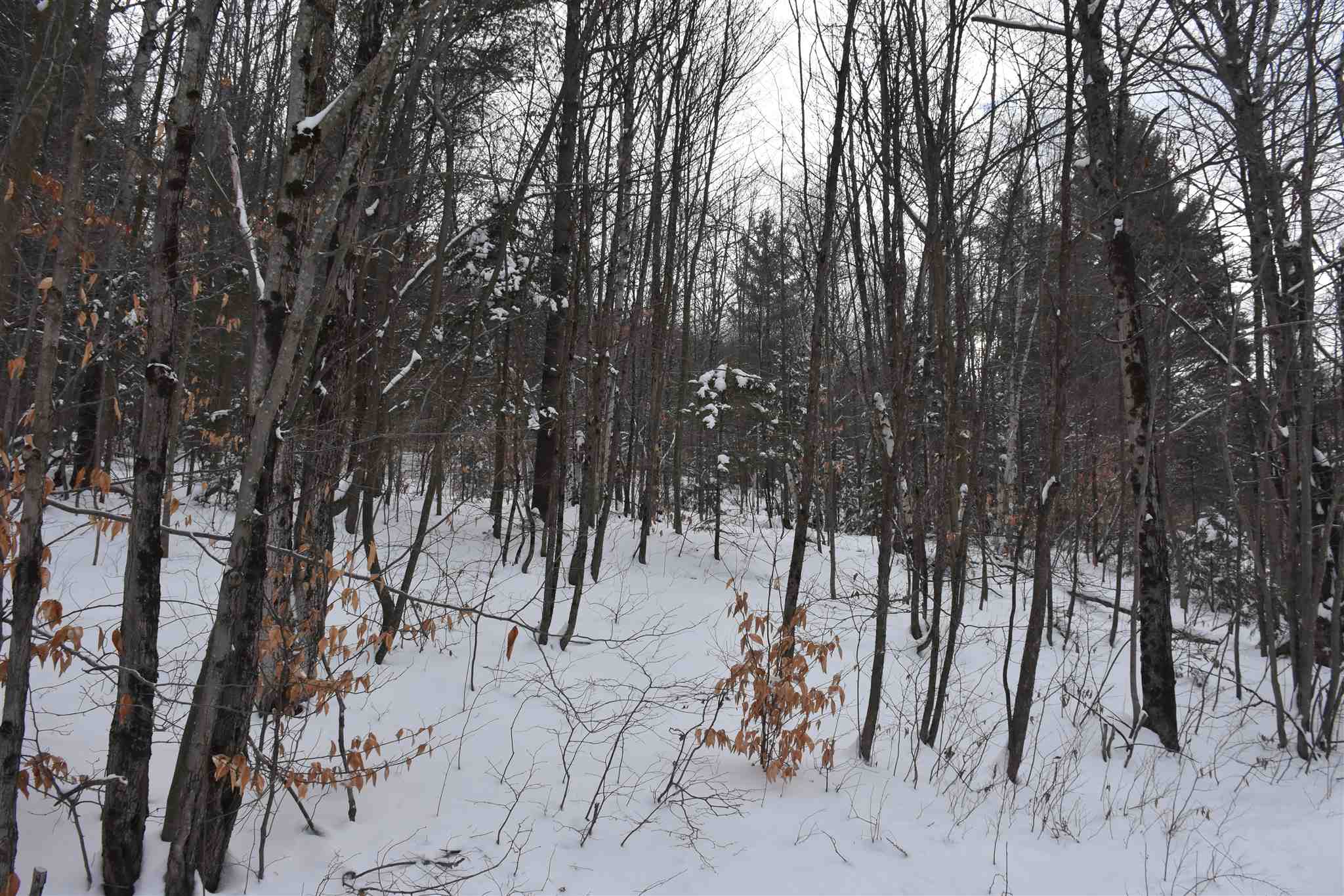 Lot 4 Bean Road Northfield, VT 05663 - Photo 3 of 8