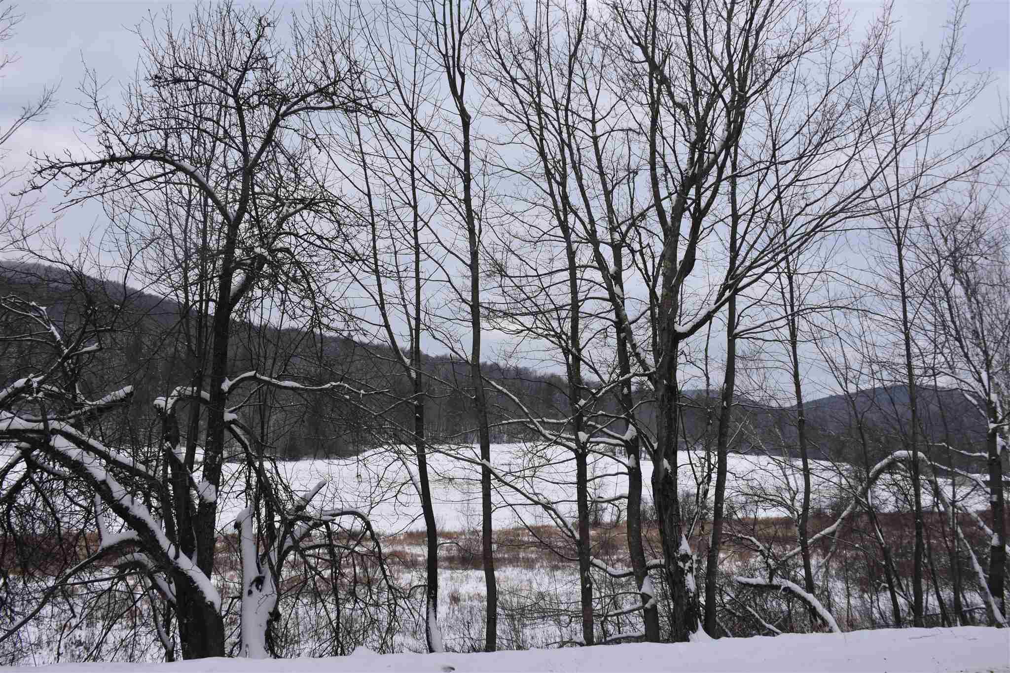 Lot 4 Bean Road Northfield, VT 05663 - Photo 8 of 8