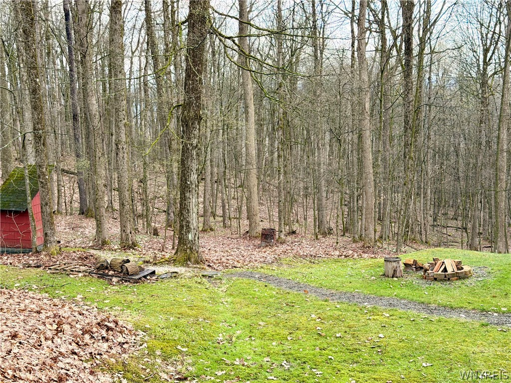 4771 Snow Brook Road Humphrey, NY 14741 - Photo 6 of 36