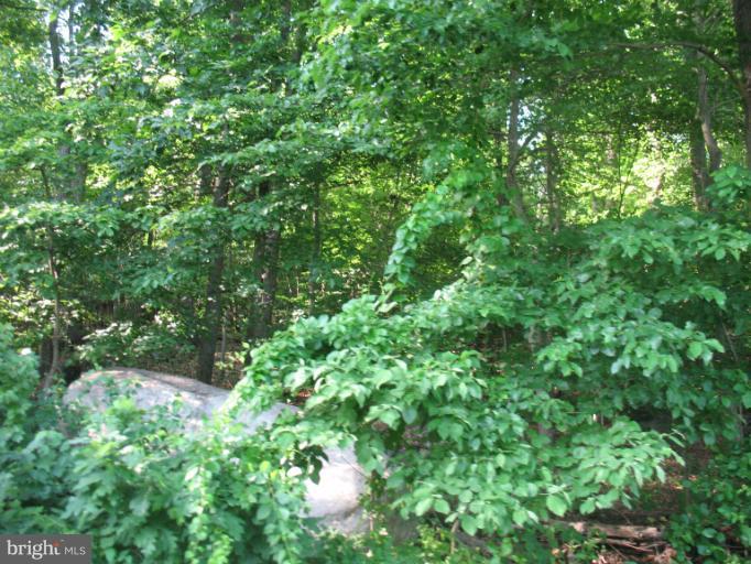 Rock Ridge Road Jarrettsville, MD 21084 - Photo 2 of 17 View