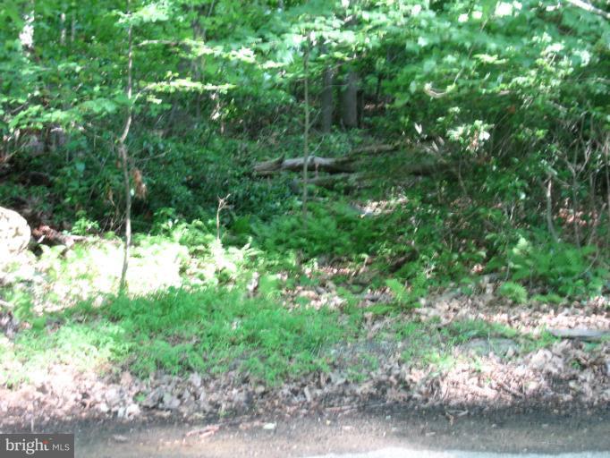 Rock Ridge Road Jarrettsville, MD 21084 - Photo 12 of 17 View