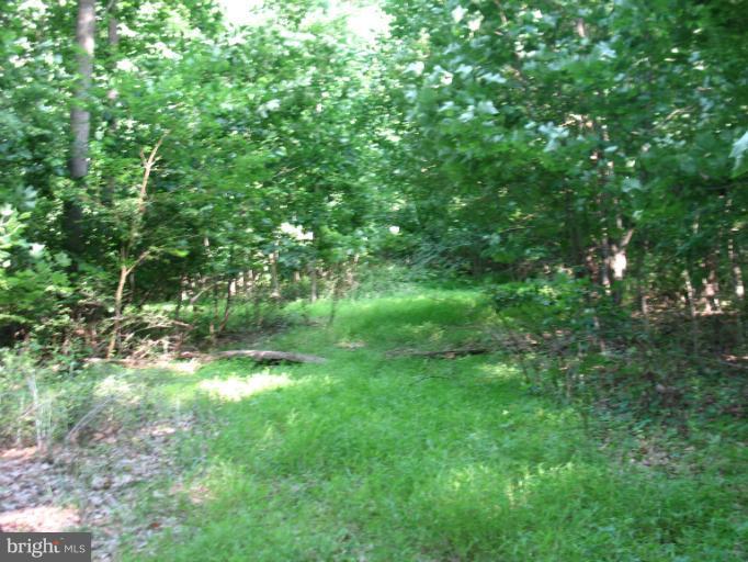 Rock Ridge Road Jarrettsville, MD 21084 - Photo 14 of 17 View
