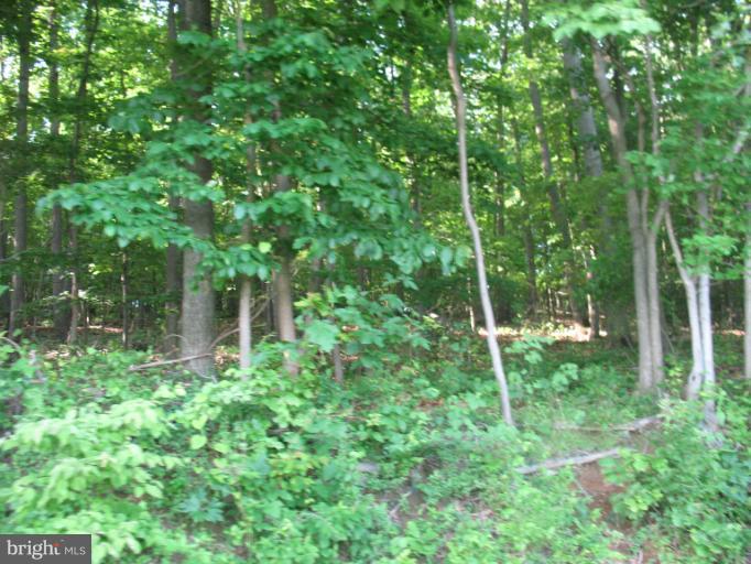 Rock Ridge Road Jarrettsville, MD 21084 - Photo 16 of 17 View