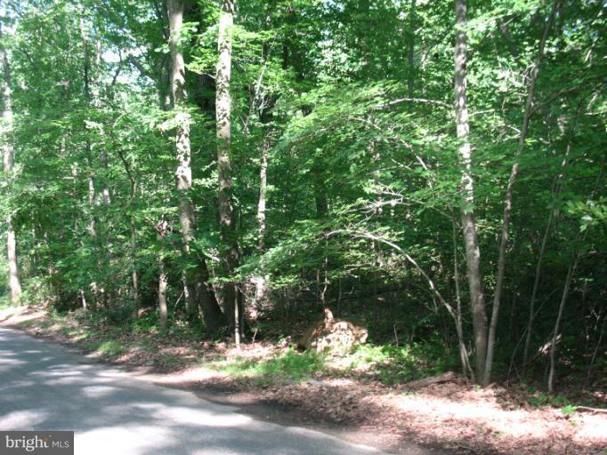 Rock Ridge Road Jarrettsville, MD 21084 - Photo 6 of 17 View