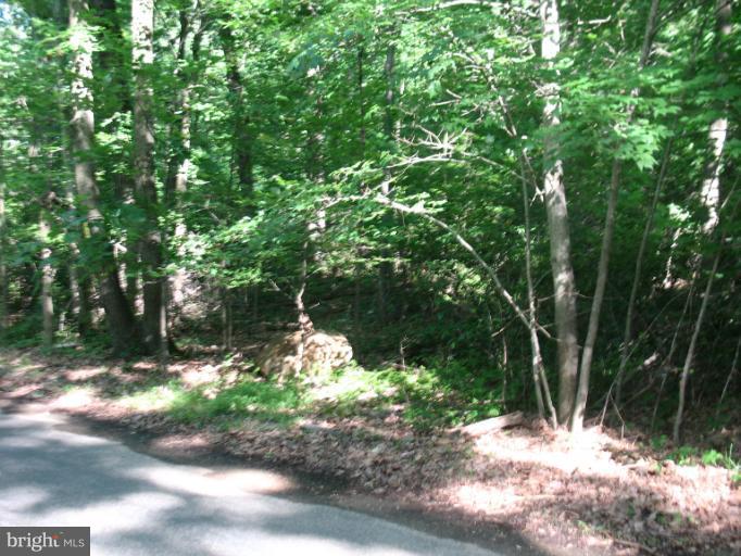 Rock Ridge Road Jarrettsville, MD 21084 - Photo 7 of 17 View