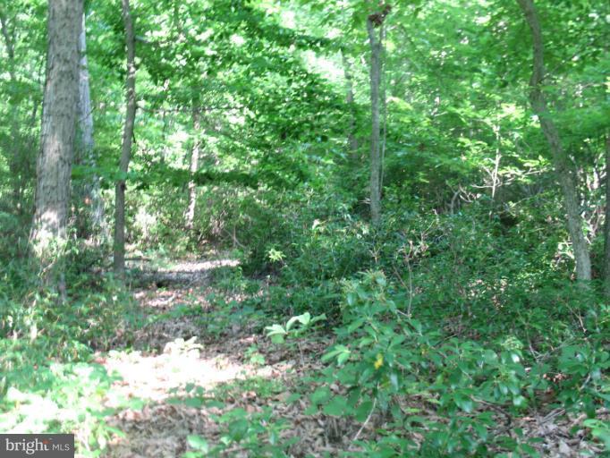 Rock Ridge Road Jarrettsville, MD 21084 - Photo 10 of 17 View